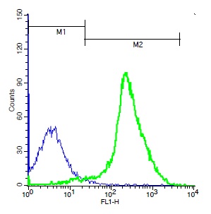Mouse thymocytes probed with Rabbit Anti-TSHR Polyclonal Antibody, Unconjugated (bs-0206R) (green) at 1:100 for 40 minutes followed by a FITC conjugated secondary compared to control cells (blue).