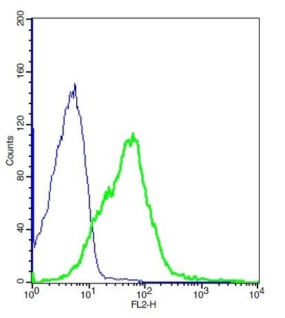 Mouse splenocytes probed with Rabbit Anti-CD83 Polyclonal Antibody, PE Conjugated (bs-4826R) (green) at 1:20 for 40 minutes compared to control cells (blue).