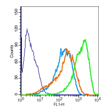 RSC996 cells probed with Rabbit Anti-MAPKAP Kinase 2 Polyclonal Antibody (bs-2908R) at 1:10 for 30 minutes followed by incubation with Goat Anti-Rabbit IgG FITC conjugated secondary (bs-0295G-FITC) at 1:100 (green) for 30 minutes compared to control cells (blue), secondary only (light blue) and isotype control (orange).\n