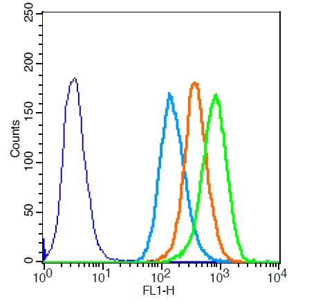 MCF-7 cells probed with Rabbit Anti-CDK1 Polyclonal Antibody (bs-0542R) at 1:20 for 30 minutes followed by incubation with Goat Anti-Rabbit IgG FITC conjugated secondary (bs-0295G-FITC) at 1:100 (green) for 30 minutes compared to control cells (blue), secondary only (light blue) and isotype control (orange).\n