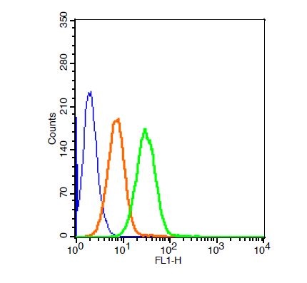 Human HepG2 cells probed with Rabbit Anti-LRP Polyclonal Antibody (bs-0661R-FITC) at 1:50 for 40 minutes (green) compared to control cells (blue) and isotype control (orange)