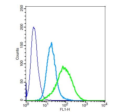 Human A549 cells probed with CD24 Polyclonal Antibody (bs-4890R) at 1:50 for 40 minutes followed by incubation with Goat Anti-Rabbit IgG, FITC Conjugated secondary (bs-0295G-FITC) at 1:100 (green) for 40 minutes compared to control cells (blue) and secondary only (light blue)