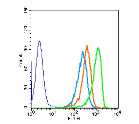Human HepG2 cells probed with Rabbit Anti-DOK5 Polyclonal Antibody (bs-8587R) at 1:50 for 40 minutes followed by incubation with Goat Anti-Rabbit IgG FITC Conjugated secondary (bs-0295G-FITC) at 1:100 (green) for 40 minutes compared to control cells (blue), secondary only (light blue) and isotype control (orange)