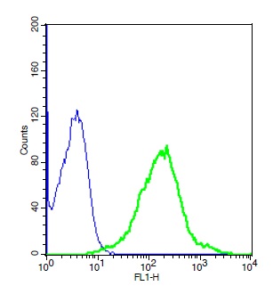 Human A549 cell lysates probed with Rabbit Anti-GHR Polyclonal Antibody, Unconjugated (bs-0654R) (green) at 1:20 for 30 minutes followed by a FITC conjugated secondary antibody compared to control cells (blue).