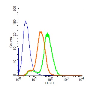 Human HepG2 cell lysates probed with Rabbit Anti-HMGB1 Polyclonal Antibody, PE-Cy5 conjugated (bs-0664R-PE-Cy5) (green) at 1:20 for 30 minutes followed compared to unstained cells (blue) and PE-Cy5 isotype control bs-0295P-PE-Cy5(orange).