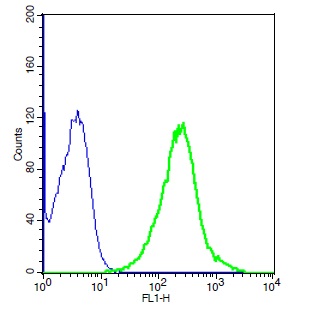 Human A549 cell lysates probed with Rabbit Anti-CX3CL1 Polyclonal Antibody, Unconjugated (bs-0811R) (green) at 1:10 for 30 minutes followed by a FITC conjugated secondary antibody compared to unstained cells (blue).