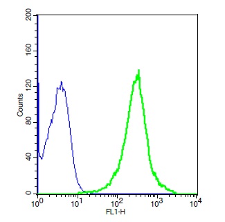 Human A549 cells probed with Rabbit Anti-TLR2 Polyclonal Antibody, Unconjugated (bs-1019R) (green) at 1:10 for 30 minutes followed by a FITC conjugated secondary antibody compared to unstained cells (blue).