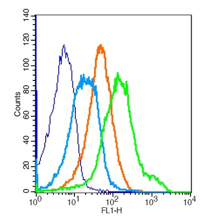 Mouse splenocytes probed with Rabbit Anti-IGF1R Polyclonal Antibody (bs-0227R ) at 1:100 for 30 minutes followed by incubation with Anti-Rabbit IgG FITC conjugated secondary for 30 minutes compared to control cells (blue), secondary only (light blue) and isotype control (orange).