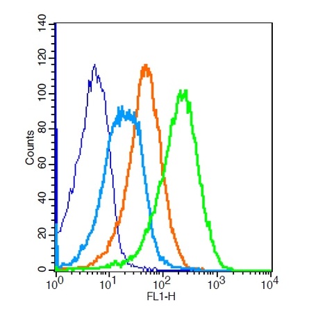 Mouse splenoctyes probed with Rabbit Anti-ADRB2 Polyclonal Antibody (bs-0947R) at 1:100 for 30 minutes followed by incubation with Anti-Rabbit IgG FITC conjugated secondary  compared to control cells (blue), secondary only (light blue) and isotype control (orange).