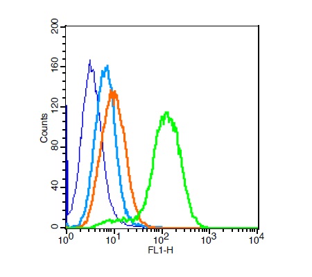 H9C2 cells probed with Rabbit Anti-Calponin 1 Polyclonal Antibody (bs-0095R) at 1:100 for 30 minutes followed by incubation with Goat Anti-Rabbit IgG FITC conjugated secondary at 1:100 (green) for 30 minutes compared to control cells (blue), secondary only (light blue) and isotype control (orange)
