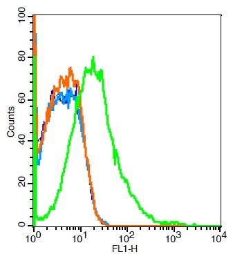 Mouse nephrocytes probed with Rabbit Anti-Met (c Met) Polyclonal Antibody (bs-0668R) at 6ug for 30 minutes followed by incubation with Goat Anti-Rabbit IgG FITC conjugated secondary (bs-0295G-FITC) at 1:100 (green) for 40 minutes compared to control cells (blue), secondary only (light blue) and isotype control (orange).